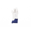 9246263148574-0101000499_JAY_combined_gloves_blue-01.jpg