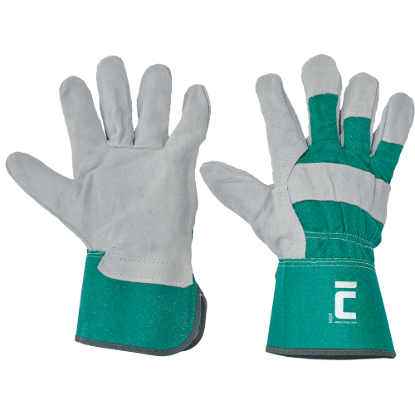 9019967340574-01010016_EIDER_green_CERVA_2016_14298_all_2019.tif.png