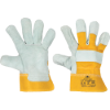 9071934767134-01010090_FF_EIDER_LIGHT_gloves_DSC_9849.tif.png