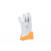 9246371872798-0101024396_CASSOWARY_gloves_HV_orange-01.jpg