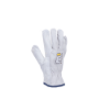 9250050179102-0102006599_PALLIDA_leather_gloves-01.jpg