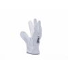 8999840350238-0102008000_LINOTTE_leather_gloves_grey-01.jpg
